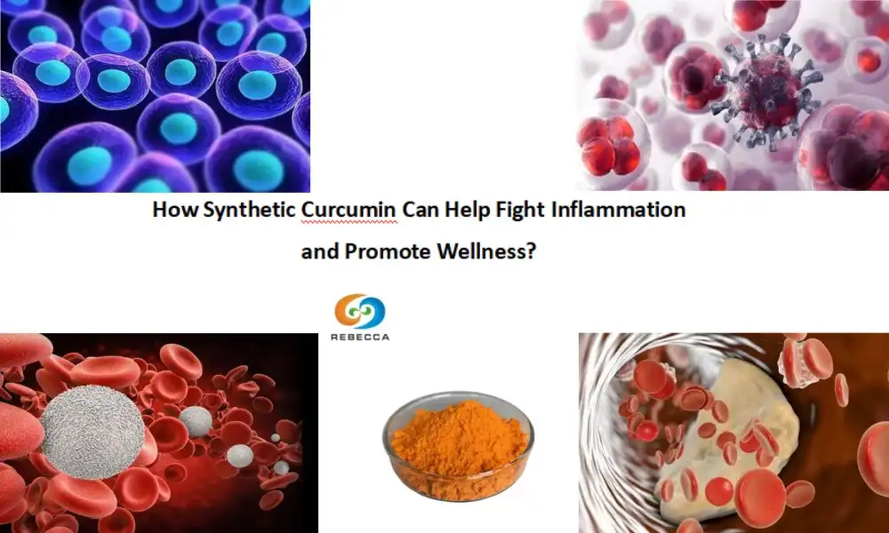 How Synthetic Curcumin Can Help Fight Inflammation and Promote Wellness?